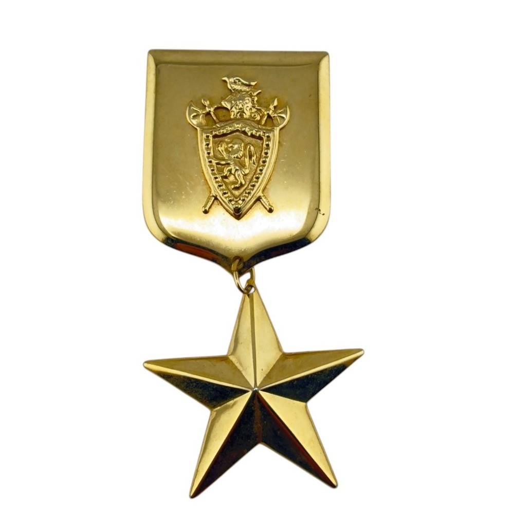 Vintage Gold Tone Crest Shield Star Statement Brooch Pin‎ Heraldic Unisex
